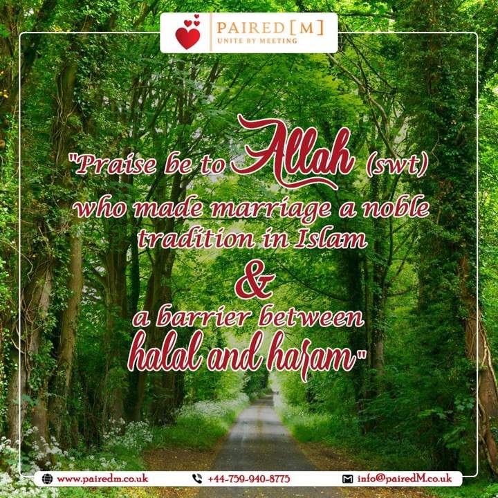 Our Islamic scholars